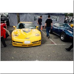New Paddock Corvette Club