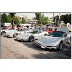 New Paddock Corvette Club