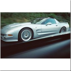 New Paddock Corvette Club