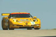 New Paddock Corvette Club