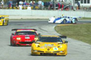 New Paddock Corvette Club
