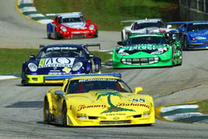 New Paddock Corvette Club
